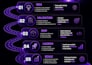 design professional business infographics, dashboards and process maps